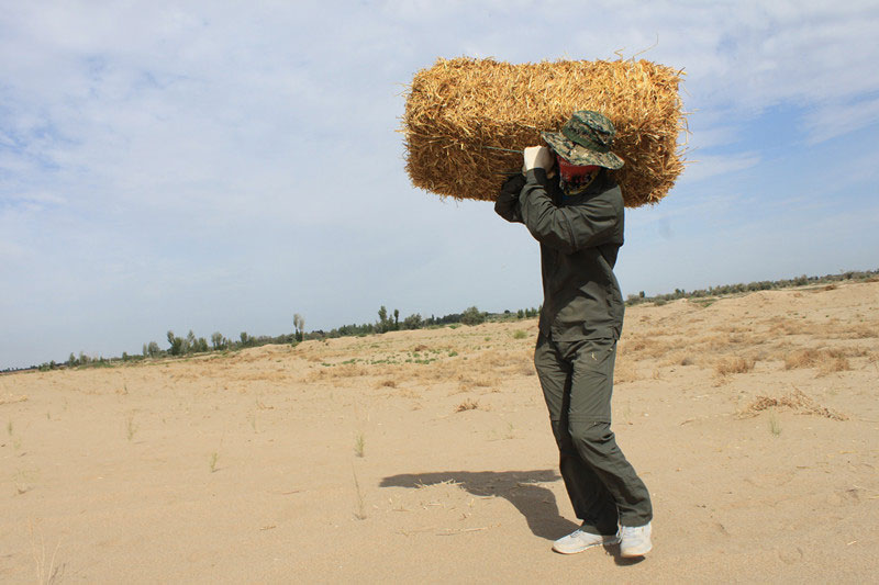 �F(tu��n)�T���i�������������ϳ����������������؟(z��)����