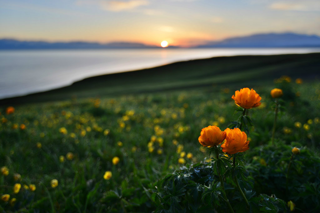 ��������l(xi��ng)�ĸ����