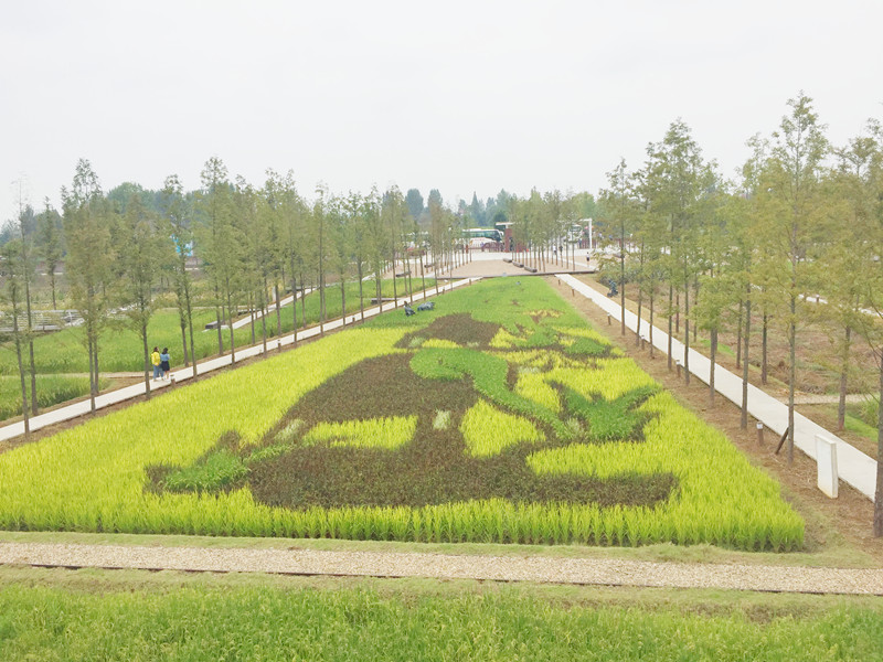 ������L�������������zӰ����־�ۣ�