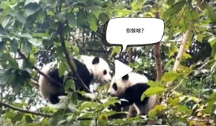 �L�L��̫�ɐ�(��i)����С��ȫ�̡���ĸЦ����